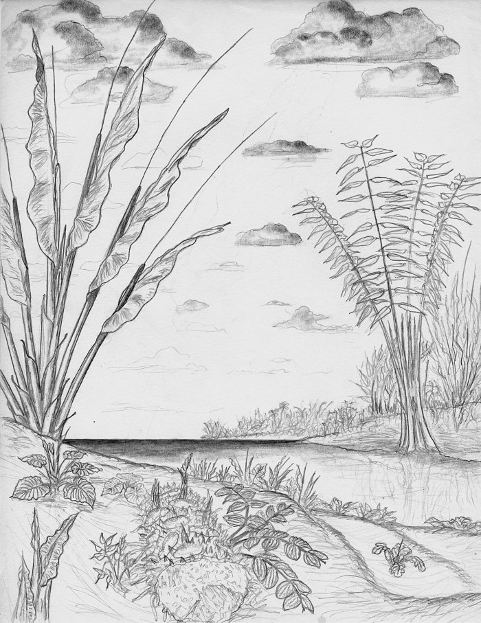 Cryptophyllum ldscp 1 Cryptophyllum ldscp 1