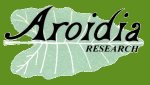 Aroidia logo mini