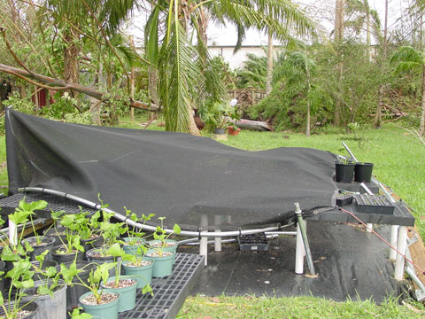 Seedling house flattened